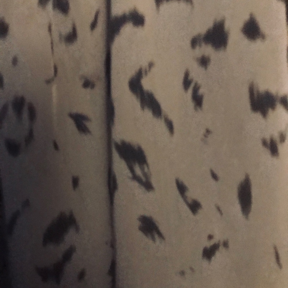 Cute Blouse